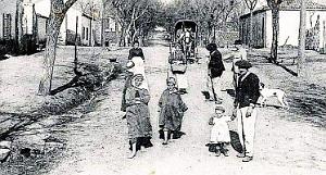 1941- Damiette - Environs de Medea2